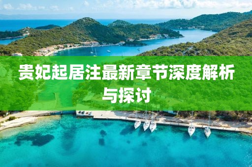 貴妃起居注最新章節(jié)深度解析與探討