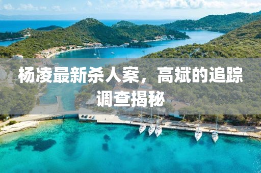 楊凌最新殺人案，高斌的追蹤調(diào)查揭秘