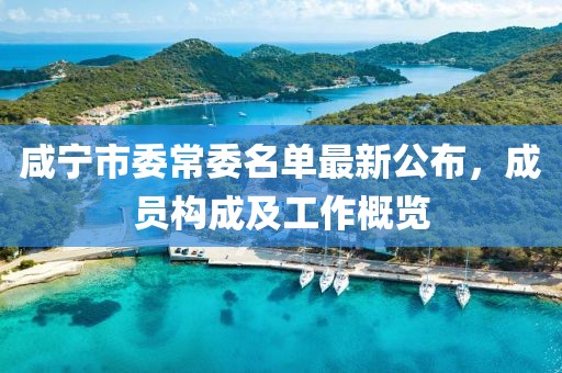 咸寧市委常委名單最新公布，成員構(gòu)成及工作概覽