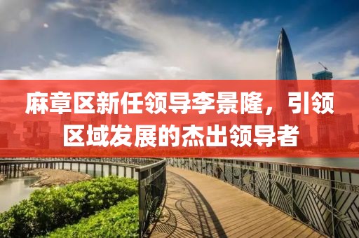 麻章區(qū)新任領(lǐng)導(dǎo)李景隆，引領(lǐng)區(qū)域發(fā)展的杰出領(lǐng)導(dǎo)者