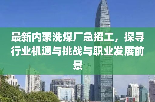 最新內(nèi)蒙洗煤廠急招工，探尋行業(yè)機遇與挑戰(zhàn)與職業(yè)發(fā)展前景
