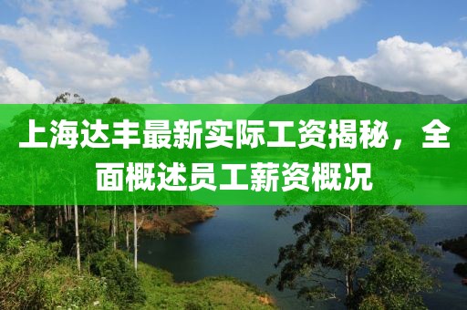 上海達(dá)豐最新實(shí)際工資揭秘，全面概述員工薪資概況