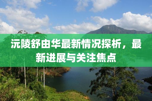 沅陵舒由華最新情況探析，最新進(jìn)展與關(guān)注焦點(diǎn)