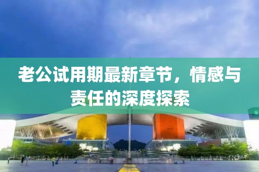老公試用期最新章節(jié)，情感與責(zé)任的深度探索