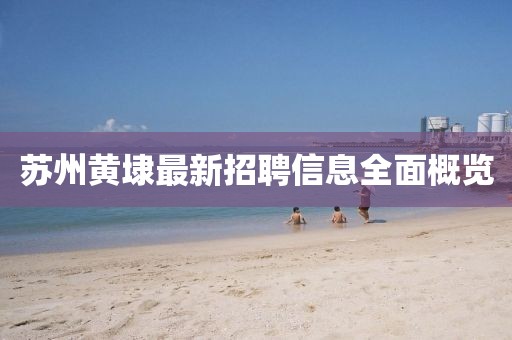 蘇州黃埭最新招聘信息全面概覽
