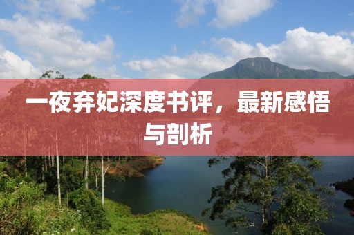 一夜棄妃深度書(shū)評(píng)，最新感悟與剖析