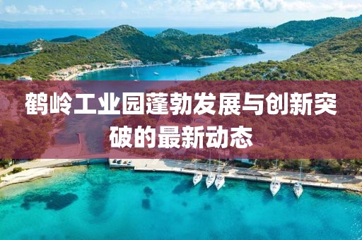 鶴嶺工業(yè)園蓬勃發(fā)展與創(chuàng)新突破的最新動態(tài)