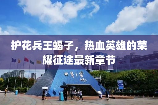 護花兵王蝎子，熱血英雄的榮耀征途最新章節(jié)