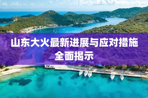 山東大火最新進(jìn)展與應(yīng)對(duì)措施全面揭示