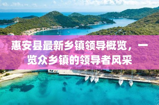 惠安縣最新鄉(xiāng)鎮(zhèn)領(lǐng)導(dǎo)概覽，一覽眾鄉(xiāng)鎮(zhèn)的領(lǐng)導(dǎo)者風(fēng)采