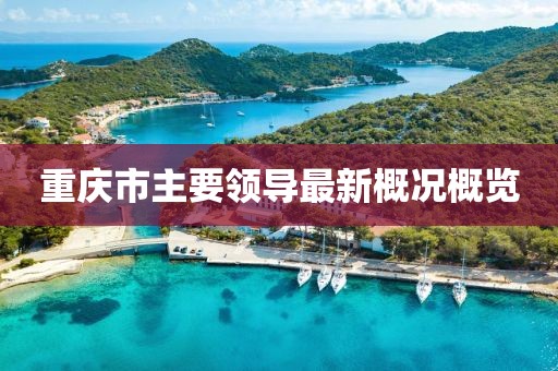 重慶市主要領(lǐng)導(dǎo)最新概況概覽