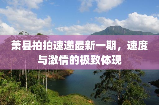 蕭縣拍拍速遞最新一期，速度與激情的極致體現(xiàn)