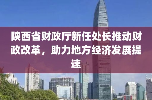 陜西省財政廳新任處長推動財政改革，助力地方經(jīng)濟(jì)發(fā)展提速