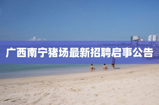 廣西南寧豬場最新招聘啟事公告