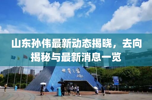 山東孫偉最新動態(tài)揭曉，去向揭秘與最新消息一覽