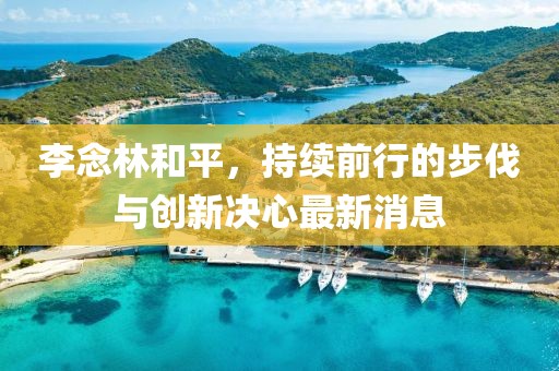 李念林和平，持續(xù)前行的步伐與創(chuàng)新決心最新消息