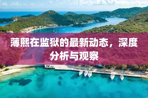 薄熙在監(jiān)獄的最新動態(tài)，深度分析與觀察