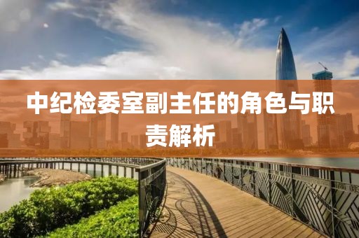 中紀(jì)檢委室副主任的角色與職責(zé)解析
