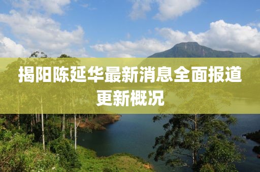 揭陽陳延華最新消息全面報道更新概況