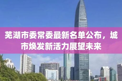 蕪湖市委常委最新名單公布，城市煥發(fā)新活力展望未來