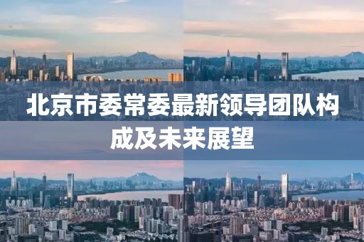 北京市委常委最新領(lǐng)導(dǎo)團(tuán)隊(duì)構(gòu)成及未來展望