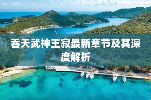 吞天武神王寂最新章節(jié)及其深度解析