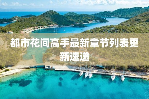 都市花間高手最新章節(jié)列表更新速遞