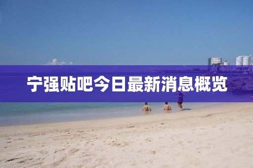 2024年12月 第215頁
