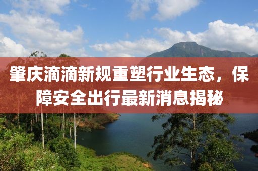 肇慶滴滴新規(guī)重塑行業(yè)生態(tài)，保障安全出行最新消息揭秘