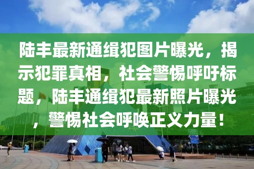 陸豐最新通緝犯圖片曝光，揭示犯罪真相，社會(huì)警惕呼吁標(biāo)題，陸豐通緝犯最新照片曝光，警惕社會(huì)呼喚正義力量！