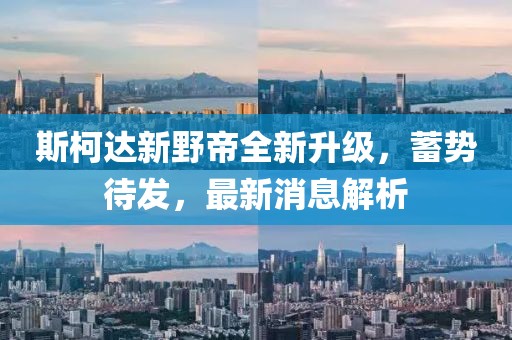 斯柯達新野帝全新升級，蓄勢待發(fā)，最新消息解析