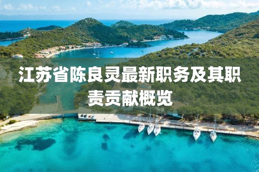 江蘇省陳良靈最新職務(wù)及其職責(zé)貢獻概覽