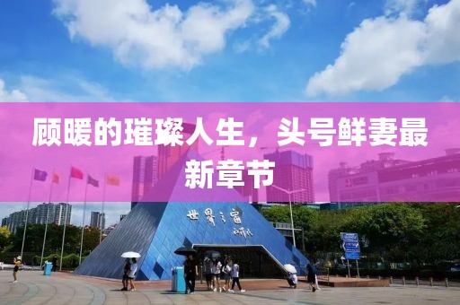 顧暖的璀璨人生，頭號鮮妻最新章節(jié)