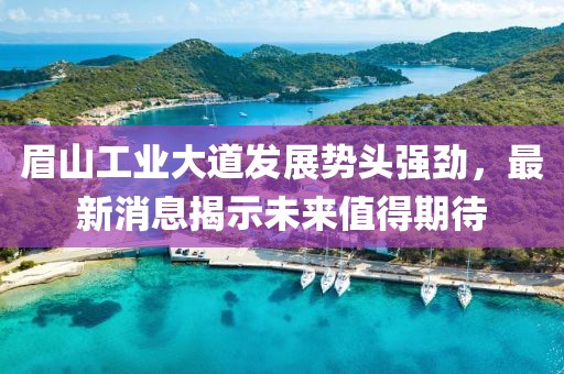 眉山工業(yè)大道發(fā)展勢頭強勁，最新消息揭示未來值得期待