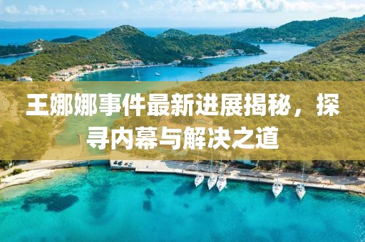 王娜娜事件最新進展揭秘，探尋內(nèi)幕與解決之道