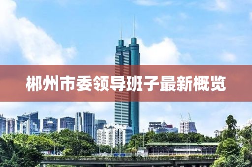 郴州市委領(lǐng)導(dǎo)班子最新概覽