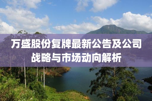 萬盛股份復(fù)牌最新公告及公司戰(zhàn)略與市場動向解析