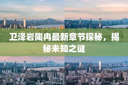 衛(wèi)澤巖陶冉最新章節(jié)探秘，揭秘未知之謎