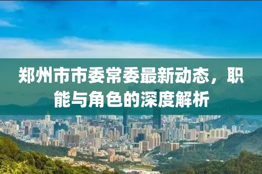 鄭州市市委常委最新動(dòng)態(tài)，職能與角色的深度解析