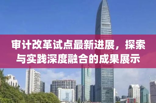 審計改革試點最新進展，探索與實踐深度融合的成果展示