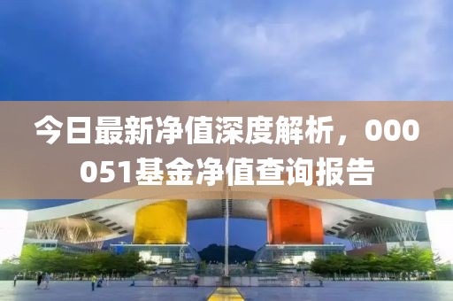 今日最新凈值深度解析，000051基金凈值查詢報(bào)告