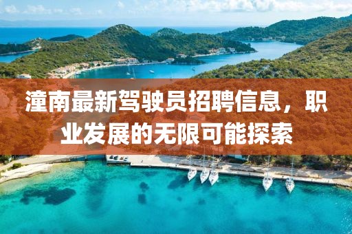潼南最新駕駛員招聘信息，職業(yè)發(fā)展的無限可能探索