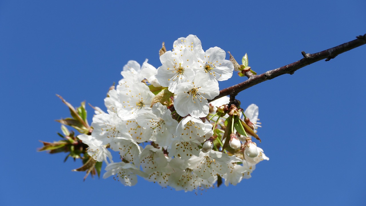 興永郴贛鐵路進(jìn)展順利，助力區(qū)域經(jīng)濟(jì)發(fā)展新動(dòng)態(tài)