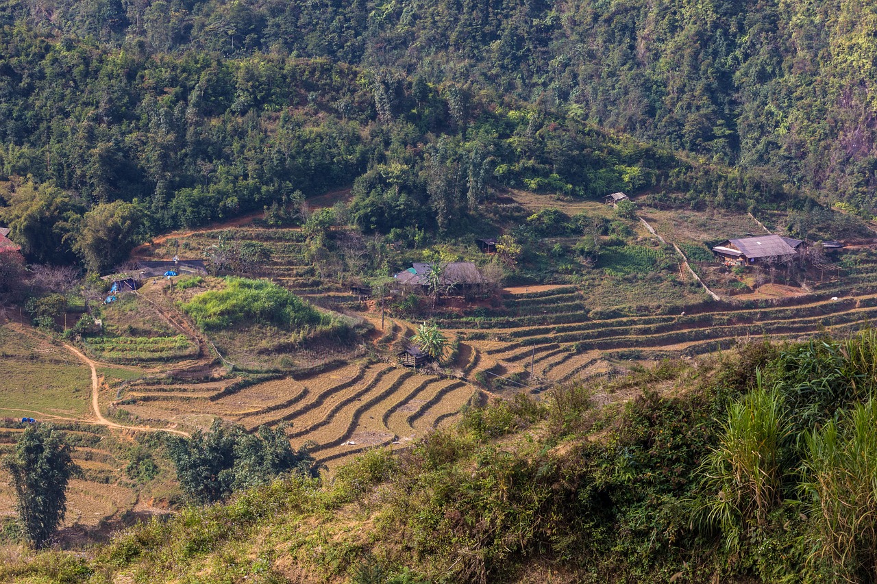 符離鎮(zhèn)最新規(guī)劃圖揭曉，展望繁榮未來，符離鎮(zhèn)2016規(guī)劃展望