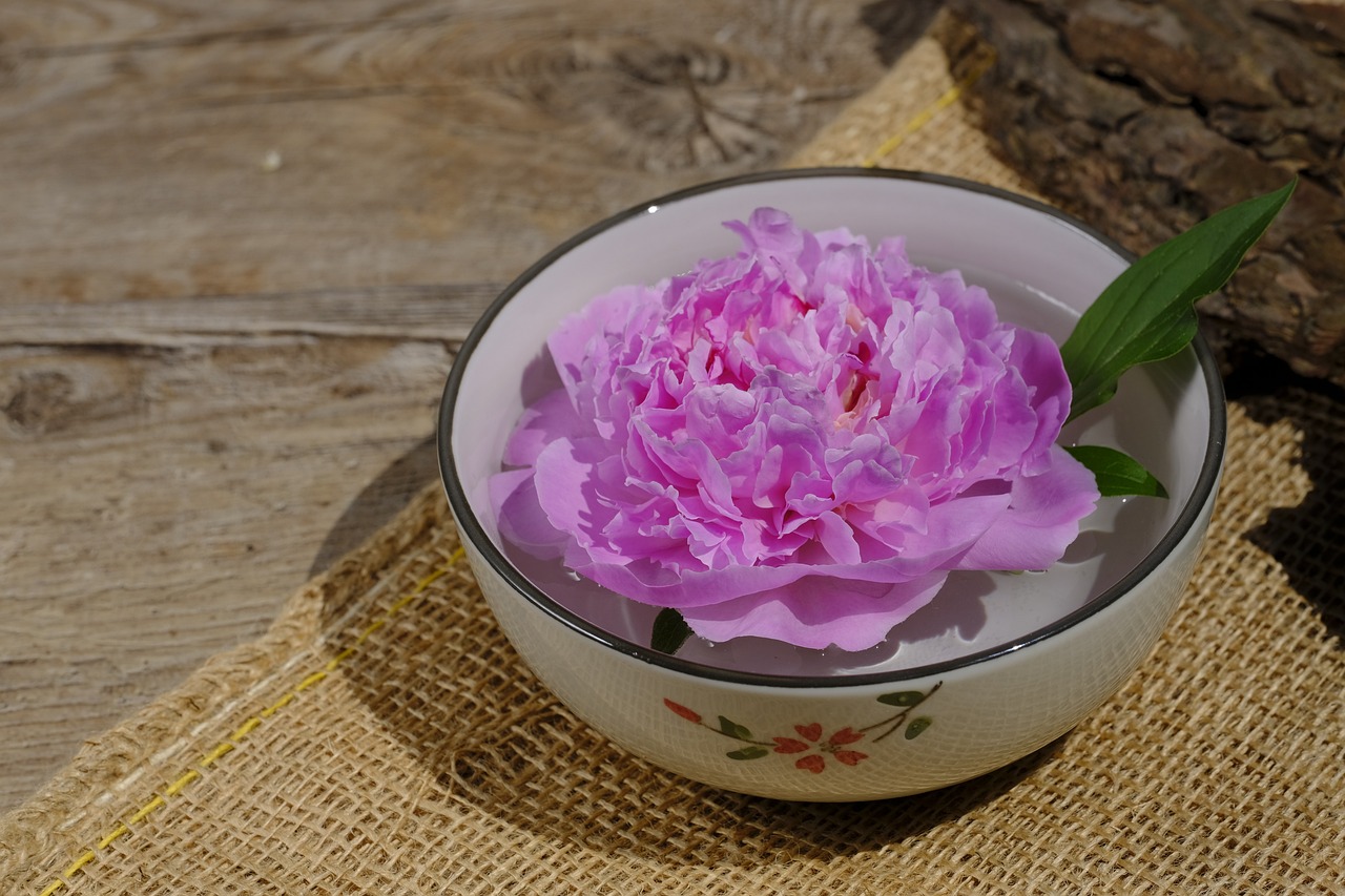 大康牧業(yè)利好消息深度解析，最新動(dòng)態(tài)帶來(lái)積極前景