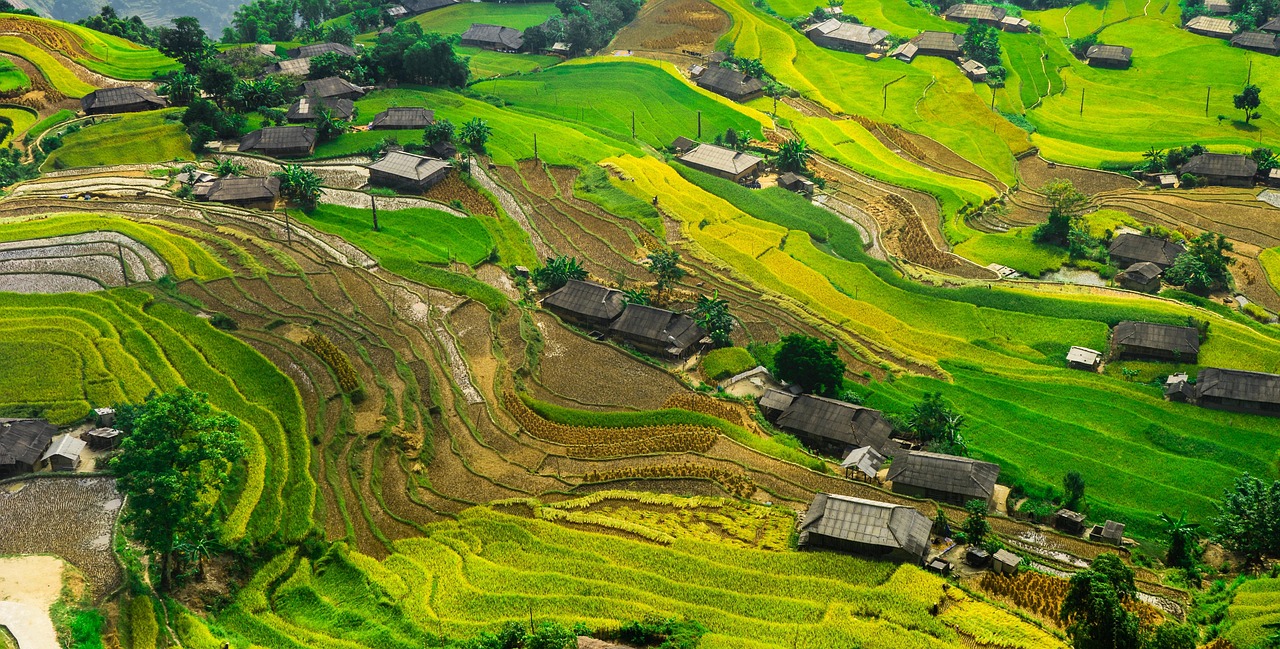 中緬合作新篇章，運(yùn)八飛機(jī)在緬甸的最新動(dòng)態(tài)與消息