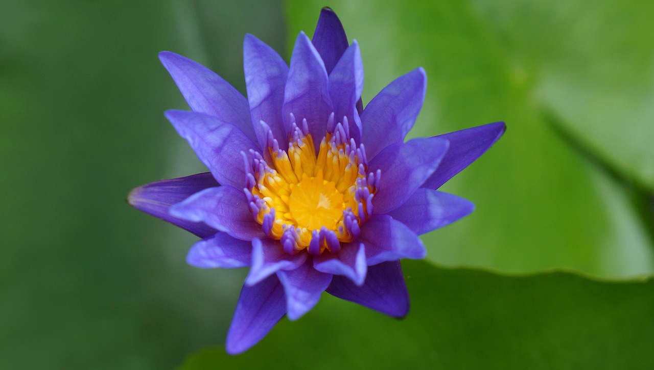 雙陽區(qū)火車站邁向現(xiàn)代化，提升服務(wù)質(zhì)量，最新動態(tài)報告
