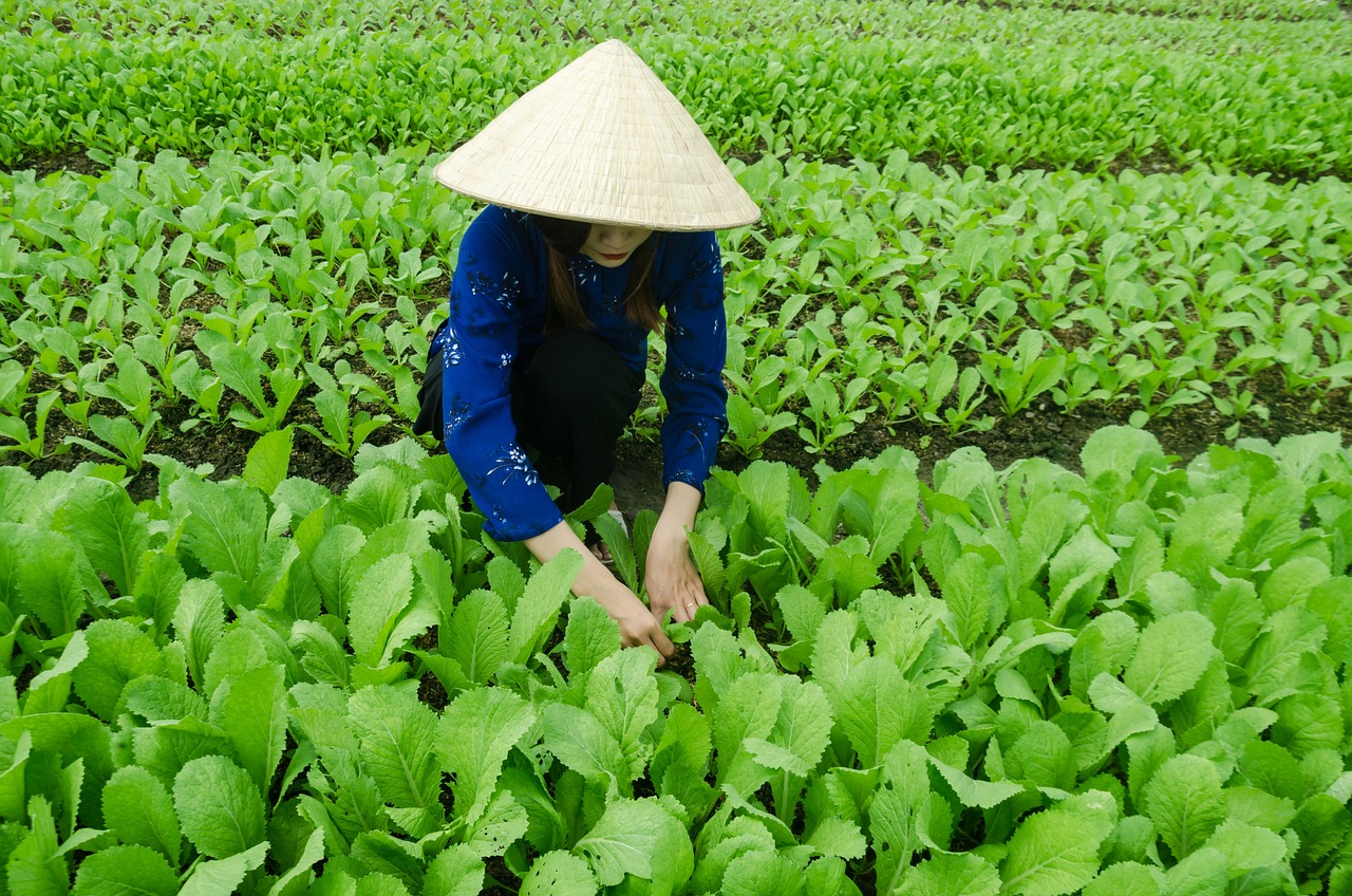 甬金鐵路最新動態(tài)，嵊州發(fā)展與鐵路聯(lián)動推進(jìn)