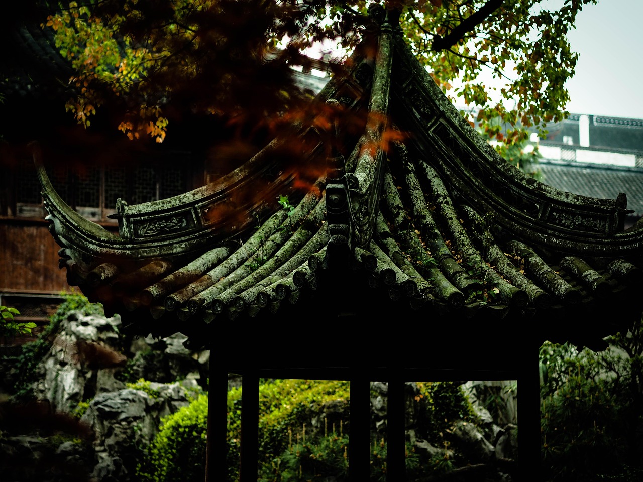 中國女排隊(duì)蓄勢(shì)待發(fā)，展現(xiàn)新篇章，最新消息與動(dòng)態(tài)速遞