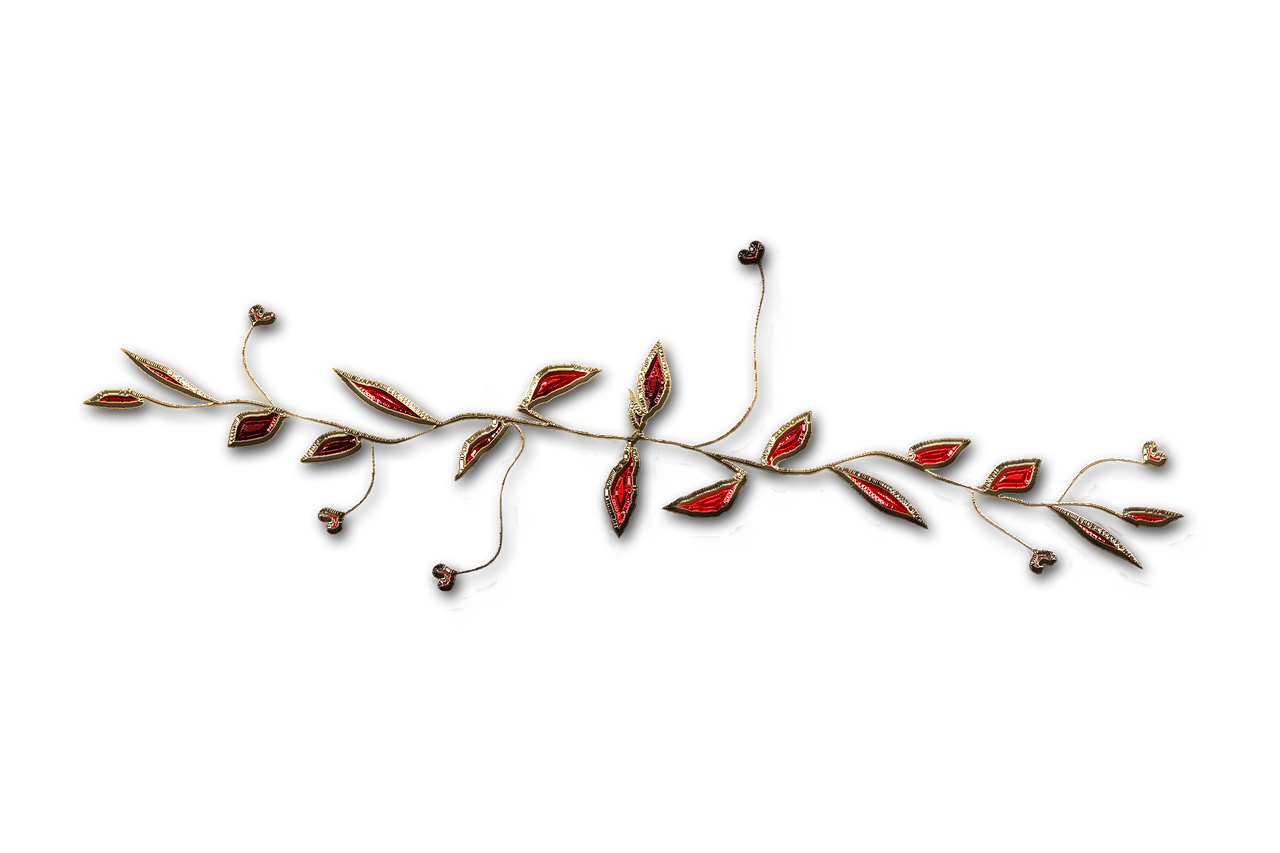 廣西大紅八角產(chǎn)業(yè)蓬勃發(fā)展，前景廣闊，最新消息與動態(tài)